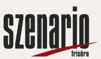Szenario Friseur