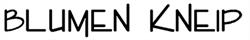 Blumen Kneip Inh. Thomas Kneip